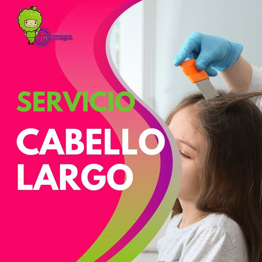 Eliminación de Piojos Cabello Largo