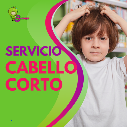 Eliminación de Piojos Cabello Corto